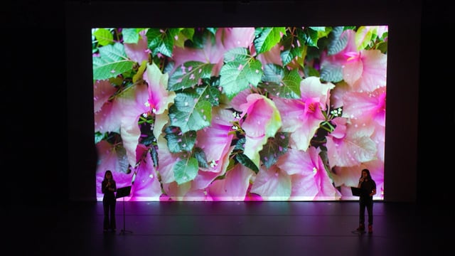20250709_doris_duke_theatre_inaugural_program_superradiance_chapter_1 (0-06-14-19) auto100